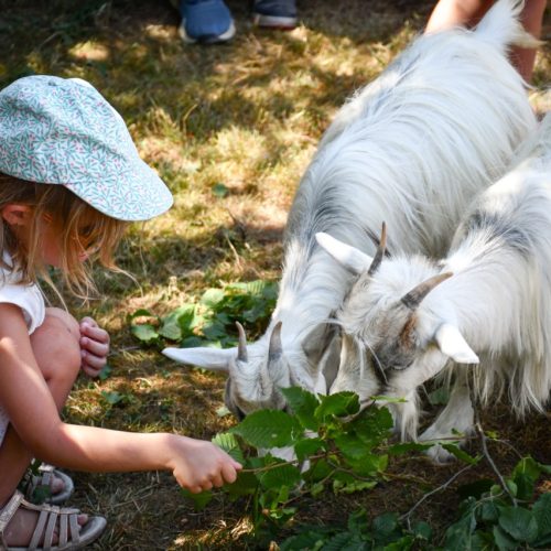 Soigneuse en herbe